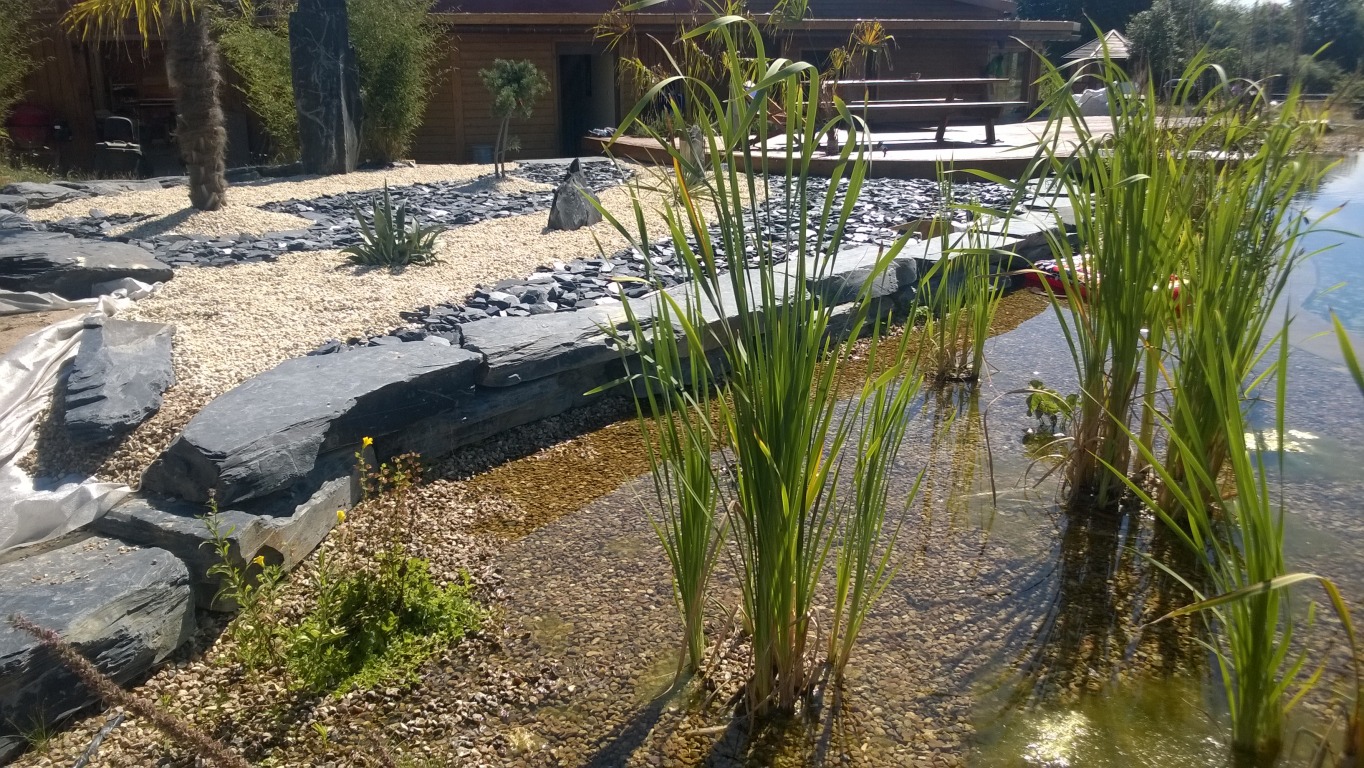 Blocs plats piscine naturelle